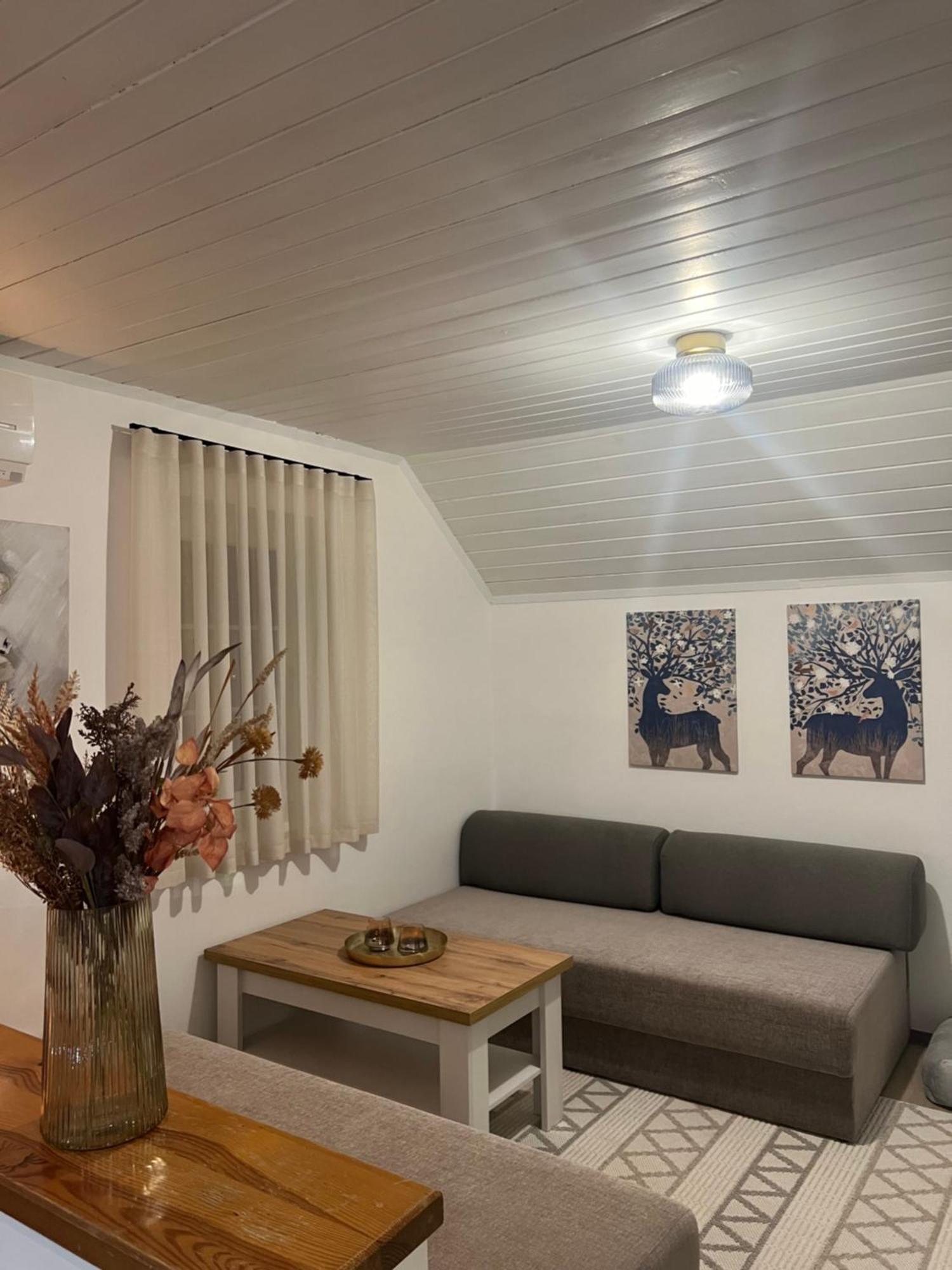 Bella Mura Nature Apartment Lipa 97 Podčetrtek Exteriör bild